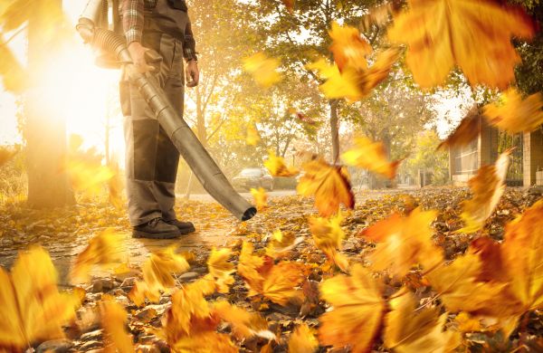 Leaf Blowing Service in Snohomish