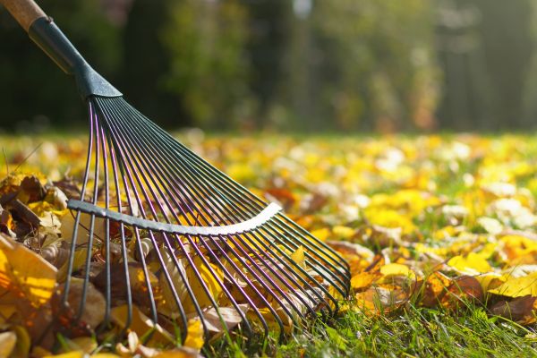 Leaf Raking Service in Snohomish