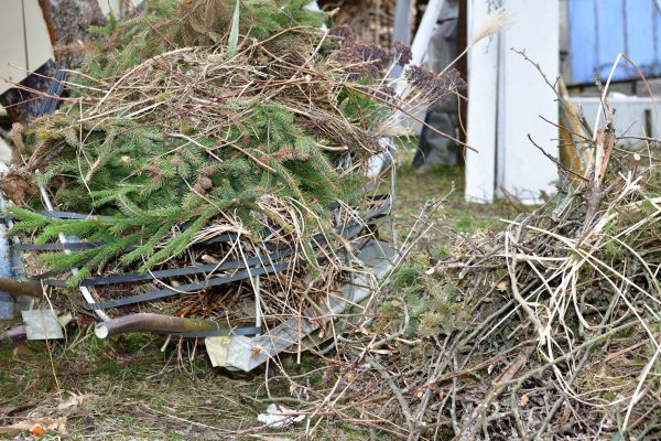Yard Waste Removal Service in Snohomish