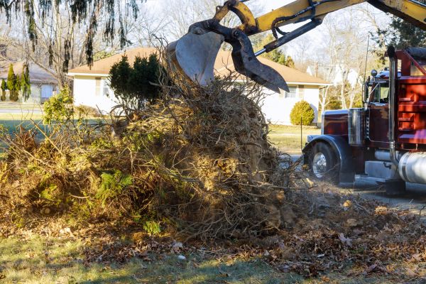 Storm Debris Removal in Snohomish