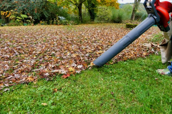 Leaves Vacuuming in Snohomish