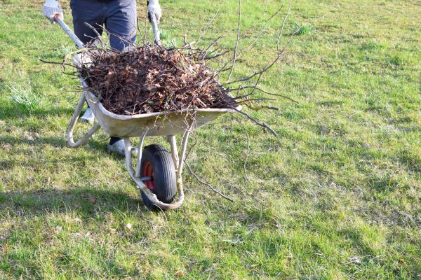 Yard Brush Removal in Snohomish