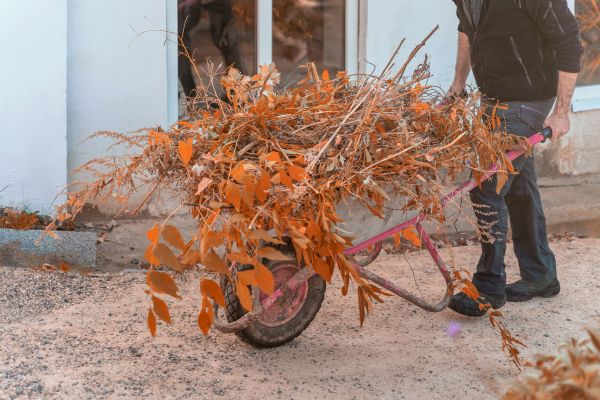 Lawn Debris Cleanup in Snohomish