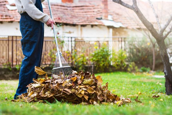 Spring Lawn Cleanup in Snohomish