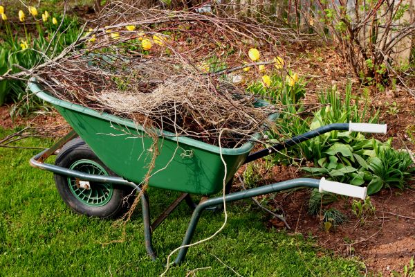 Lawn Waste Removal in Snohomish