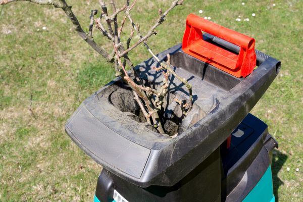 Brush Cleanup Service in Snohomish