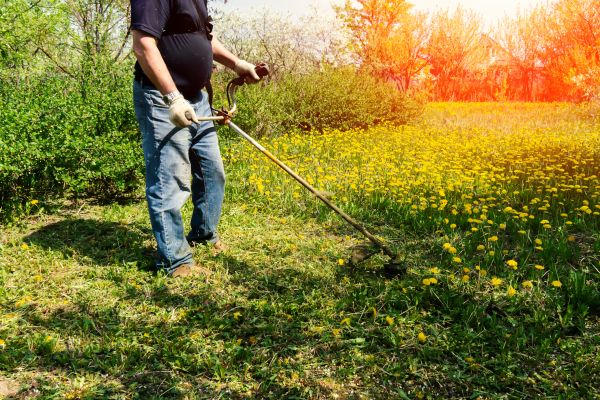 Yard Clearing Service in Snohomish