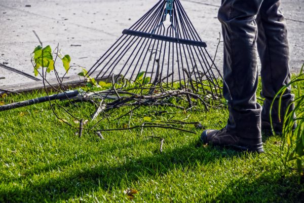Yard Debris Cleanup in Snohomish