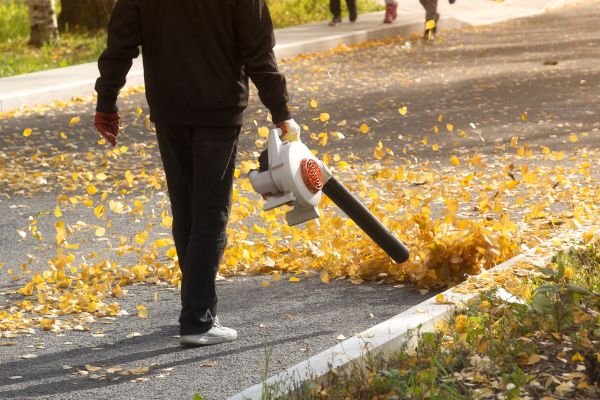 Commercial Leaf Removal in Snohomish