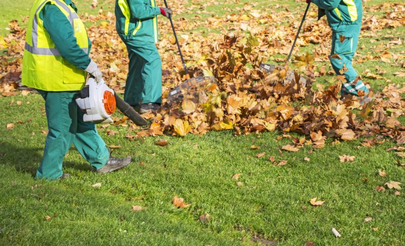 Leaf Raking Service